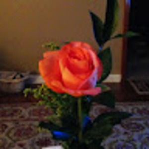 Meet your Posher, Leonor